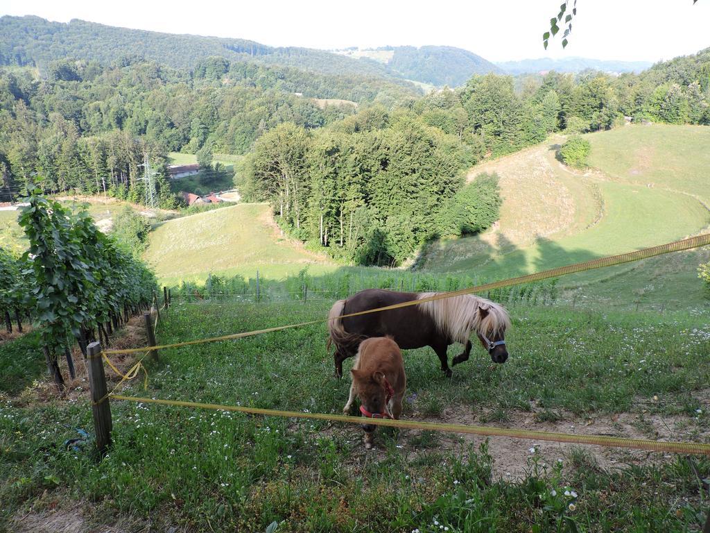 Relax Marjanca Rogaška Slatina